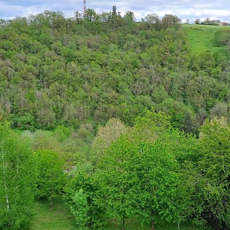 Agreable T2 Classe 3 Etoiles, Refait A Neuf, Dans Quartier Calme Rodez Exteriör bild