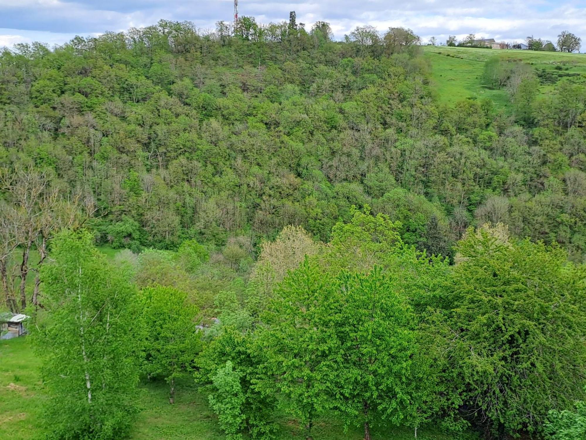Agreable T2 Classe 3 Etoiles, Refait A Neuf, Dans Quartier Calme Rodez Exteriör bild